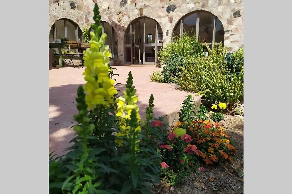 Eilat Stone - Patio אבן אילת - פטיוアパートメント アパート