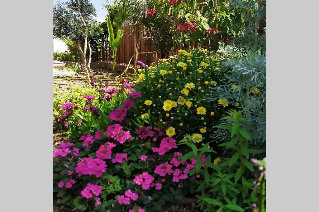 Eilat Stone - Patio אבן אילת - פטיוアパートメント